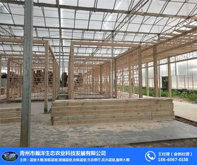 青州瀚洋農業 陽光玻璃溫室的現代畫卷與蔬菜產業新篇章