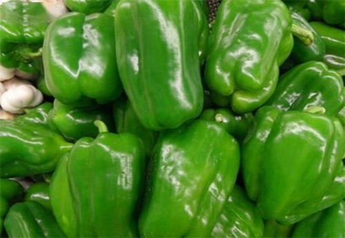 深圳農(nóng)產(chǎn)品配送新風(fēng)尚 莞美送菜公司的蔬菜供應(yīng)之道