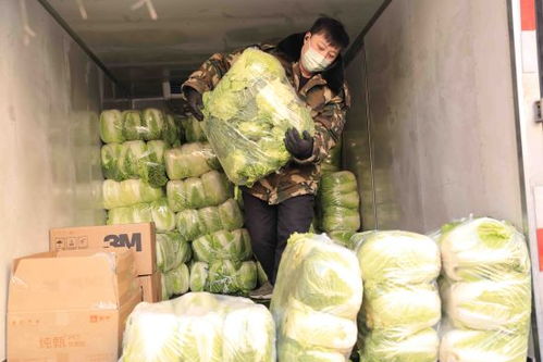 大商沈陽集團穩物價保民生，以低于進價供應蔬菜等生活必需品